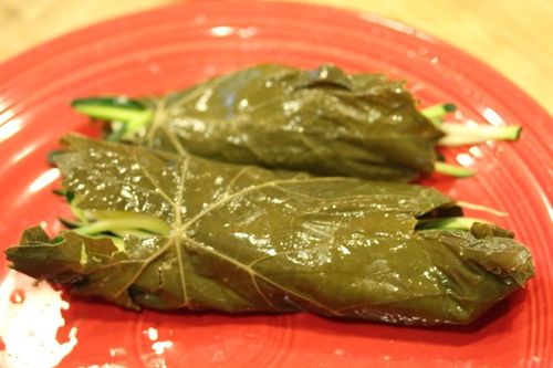 Vynuogių lapų derliaus nuėmimo receptas Kaip skonio vynuogių lapus dolma