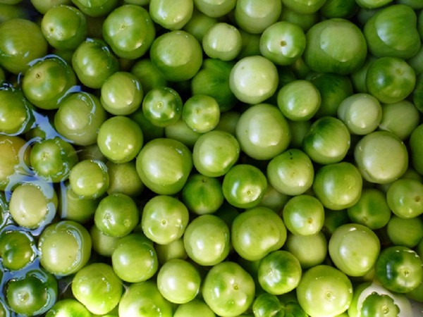 Žalieji pomidorai, receptai žiemai. Kaip virti žalias pomidorus - marinuoti, marinuoti, korėjietiški