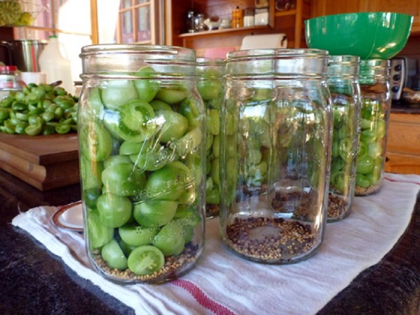 Žalieji pomidorai, receptai žiemai. Kaip virti žalias pomidorus - marinuoti, marinuoti, korėjietiški