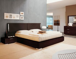 Wenge interjere