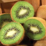 Kiwi dieta svorio netekimui