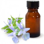 Patchouli aliejus ir jo naudingos savybės Patchouli aliejus ir jo naudingos savybės