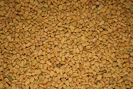 Fenugreek - kas tai? Naudingos savybės smiltainis (su nuotrauka)