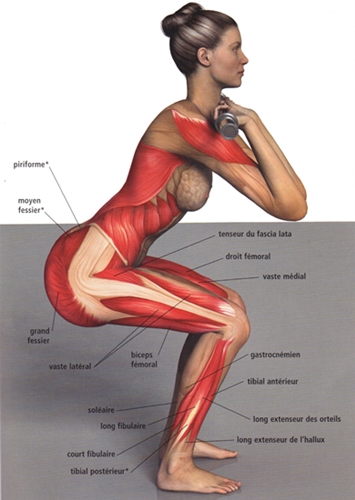 Squats: teisingi pratimai sėdmenims