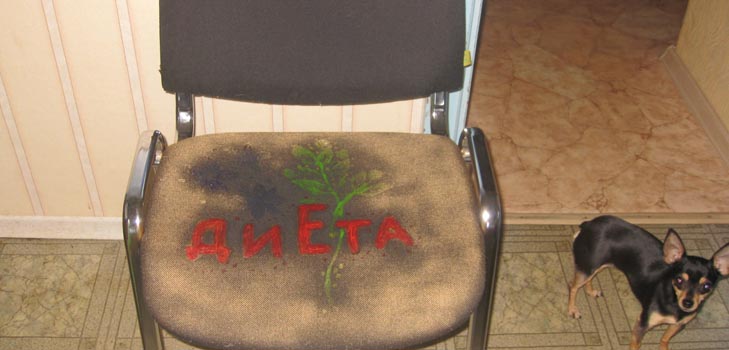 Mes sėdime ant dietos: kaip elgtis apsilankius?