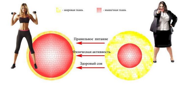 Kaip atpažinti ir ką daryti metabolinių sutrikimų atveju
