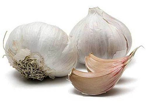 Vazodilatoriaus lėšos