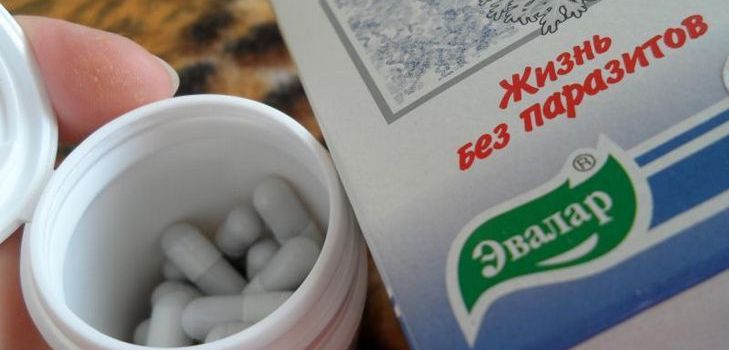Antiparazitinis narkotikas yra Troychatka Evalar. Kompozicija. Instrukcijos. Atsiliepimai